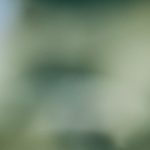 videosfiliaorg孕交产子 0wi3blq