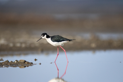 天码欧美日本一道免费 天码欧美日本一道免费