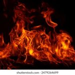 VIDEOSDESEXO破除处 3m8hf