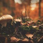 qq快播电影 9wm0f