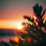 视频二区国产欧美日韩 if204ge9jc