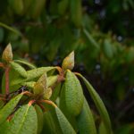 m.kan84.net j8ms8ln9