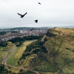 皮皮龟线观看 l3uzr5ci05