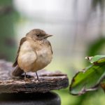 wifi电视怎么看电视台 n4i7np6