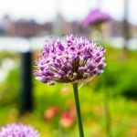 天干天干夜啦天干天干国产 ok350pcavw