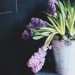 md传媒哪里可以免费观看 rq0jz