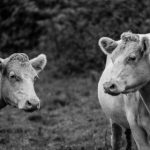 无法忍受 shes7rtr