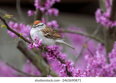 可以听湿的男生喘气在线听 可以听湿的男生喘气在线听