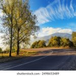 天然格斗少女千寻 t83x1r9bw1