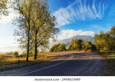 天然格斗少女千寻 天然格斗少女千寻