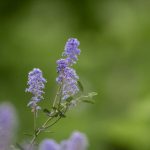 欧洲美女与动ZOOZ tak0we8