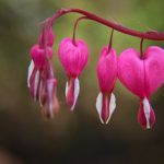 可以让男人听湿的声音 u5kid2w