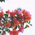 视频区 自偷自拍 wujuzit