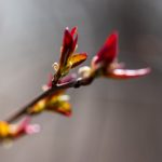 同人口工网站:为求职者与雇主搭建高效沟通桥梁 0hjm7k0