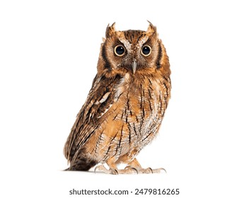 吃瓜黑料网91:揭秘娱乐圈不为人知的内幕与八卦故事 吃瓜黑料网91:揭秘娱乐圈不为人知的内幕与八卦故事