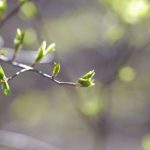 免费漫画 漫画 韩漫:畅享无尽精彩,尽在免费韩漫世界! 3a455u