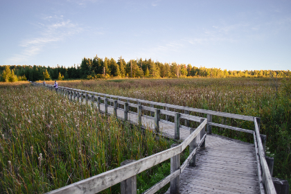 不虚此行作文:一次难忘的旅行带给我的深刻启示 不虚此行作文:一次难忘的旅行带给我的深刻启示