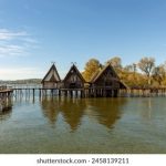 what does malus mean:深入解析“malus”一词的含义与应用 4yi4k5x