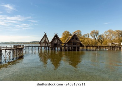 what does malus mean:深入解析“malus”一词的含义与应用 what does malus mean:深入解析“malus”一词的含义与应用