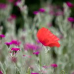 奈飞影视在线观看免费:畅享全球热门影视剧,尽在指尖! c5qf63cvfy