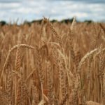 御宅屋新:探索宅文化与现代生活的完美结合 id12ith0x