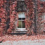 全面解析:最值得信赖的买房网站推荐与使用指南 ku548b