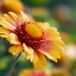 免费漫画 韩漫免费:畅享最新热门韩漫,尽在这里! lj6wuta4