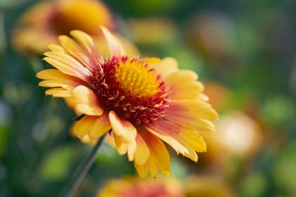 免费漫画 韩漫免费:畅享最新热门韩漫,尽在这里! 免费漫画 韩漫免费:畅享最新热门韩漫,尽在这里!