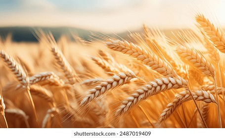 原神吧服:探索全新游戏体验与玩家交流平台 原神吧服:探索全新游戏体验与玩家交流平台