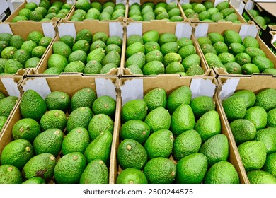 寻找拷贝漫画的官方网站及其相关信息 寻找拷贝漫画的官方网站及其相关信息