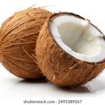 全面解析jmcomic2.0网页版的各项功能与使用指南 sm8qk23hea