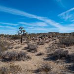 打造快乐宝宝的秘诀:让每一天都充满欢笑 3yayujgs5d