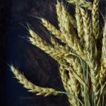 探索愛媛大学図書館:知识的宝库与学习的殿堂 734cjcs896