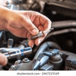 探索香蕉视频:美味又有趣的创意做法分享 8m9yd6