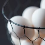 探索吾爱破解网论坛:破解技术与资源的宝藏 9269k