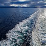 探索神秘入口:永久导航的奇妙之旅与发现 98ltn