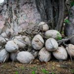 探索香港独特魅力的YouTube频道推荐 ehknogvf