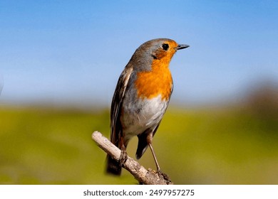 探索LOL游戏中的UUU9战队传奇与战术分析 探索LOL游戏中的UUU9战队传奇与战术分析