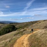 探索anbebe动画的魅力与创作背后的故事 s31jo2h2k